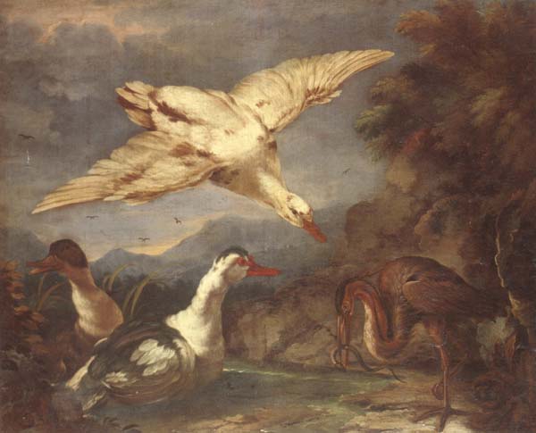 A river landscape with ducks and a heron eating an eel